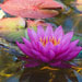 Connecting to Higher Self Meditation